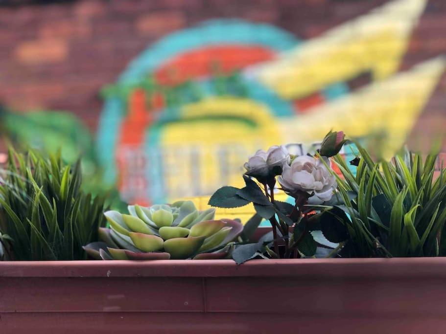 Cosy Two Bed Terraced House 7Min Drive From City Belfast Exteriér fotografie